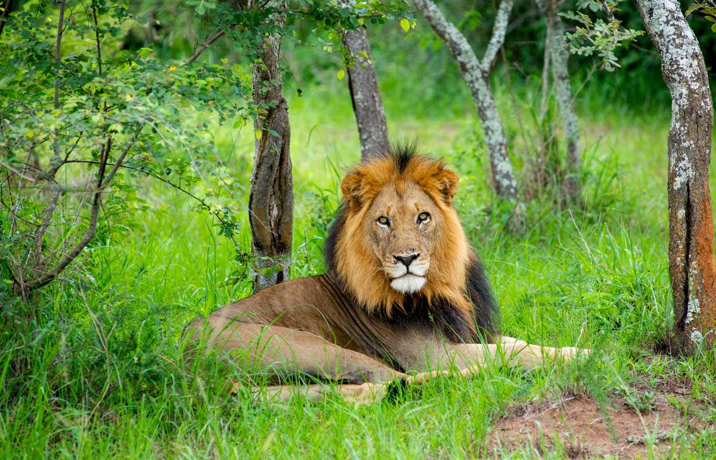 3-days-akagera-national-park-tour