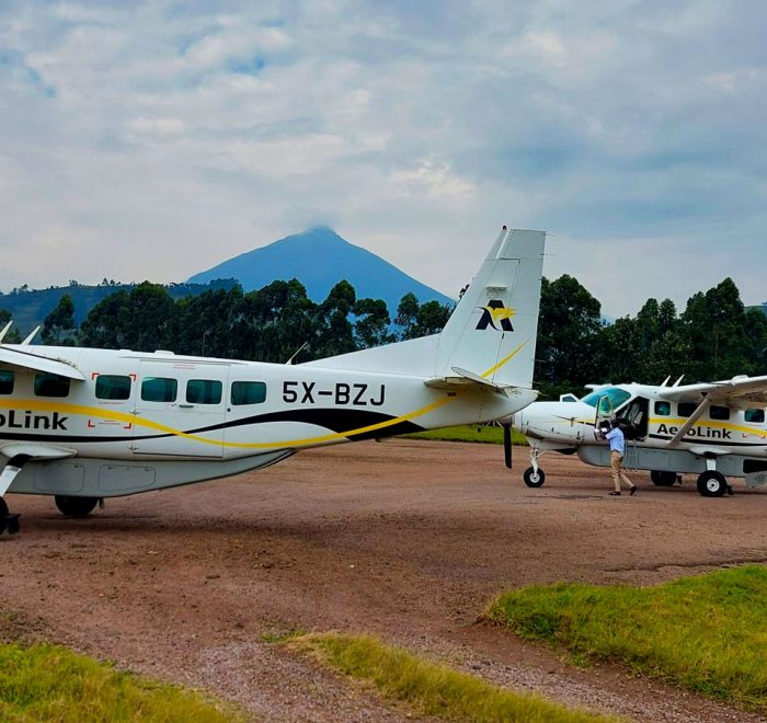3-day-fly-in-gorilla-tracking-safari