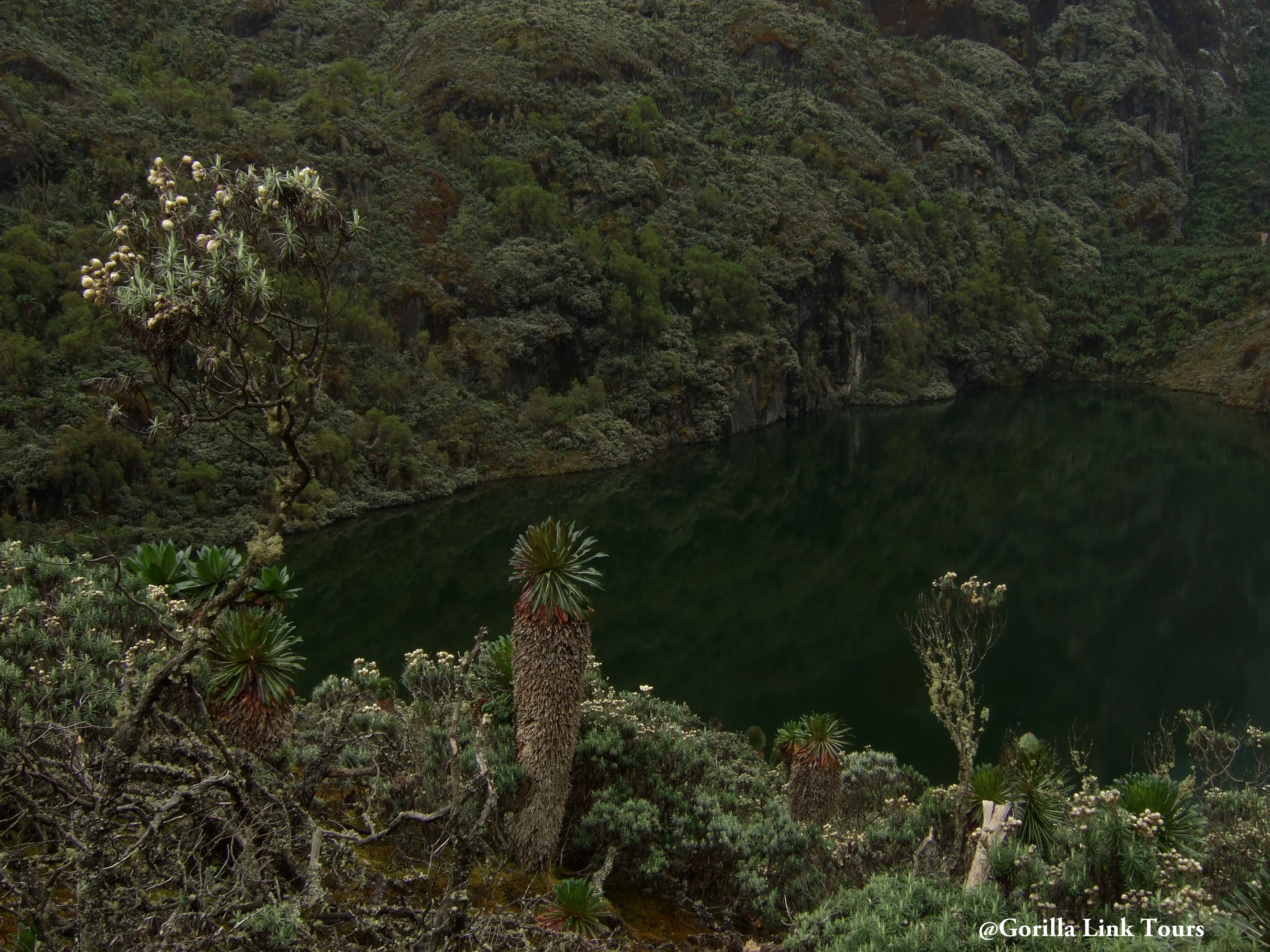 Rwnzori Mountains National Park