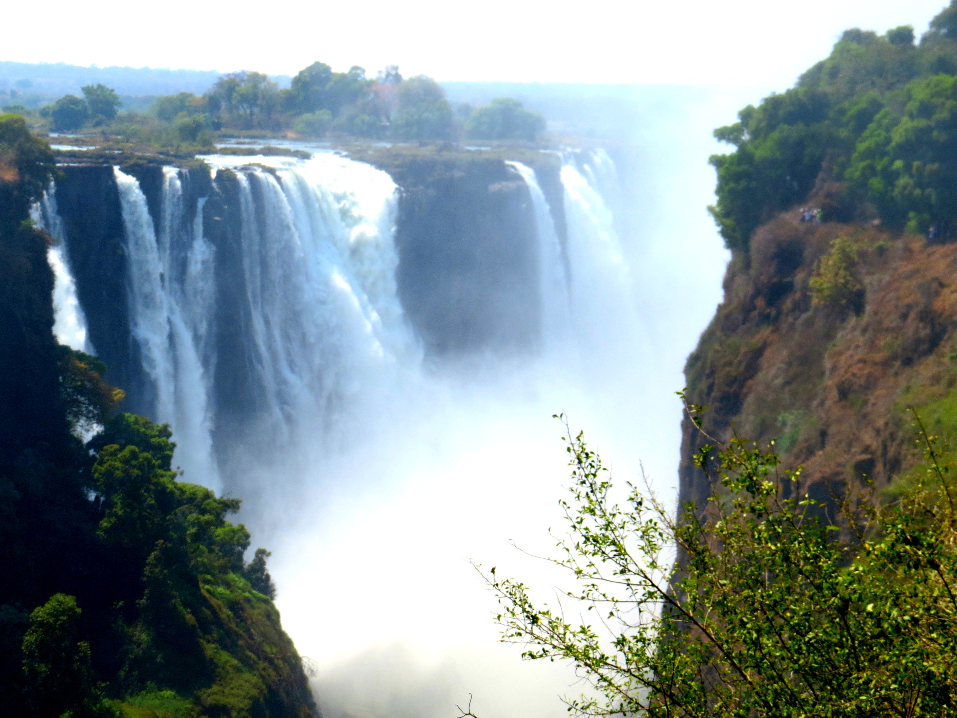 6 Days Victoria Falls and Gorilla Tracking luxury Safari, Zimbabwe and Uganda safari