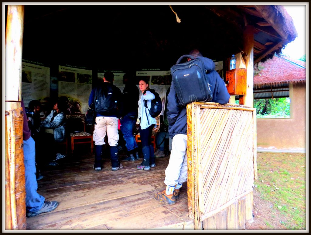 Clients after Gorilla trekking briefing ready to start the trek @Gorilla Link Tours