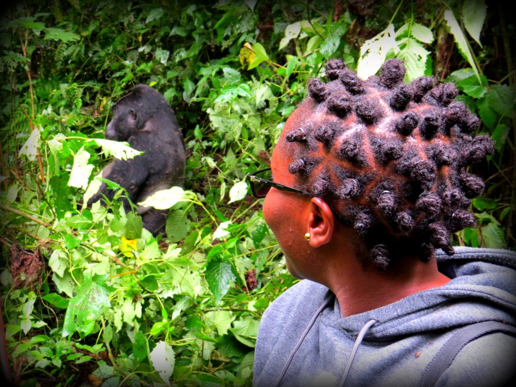 Gorilla Trekking in Uganda Via Rwanda
