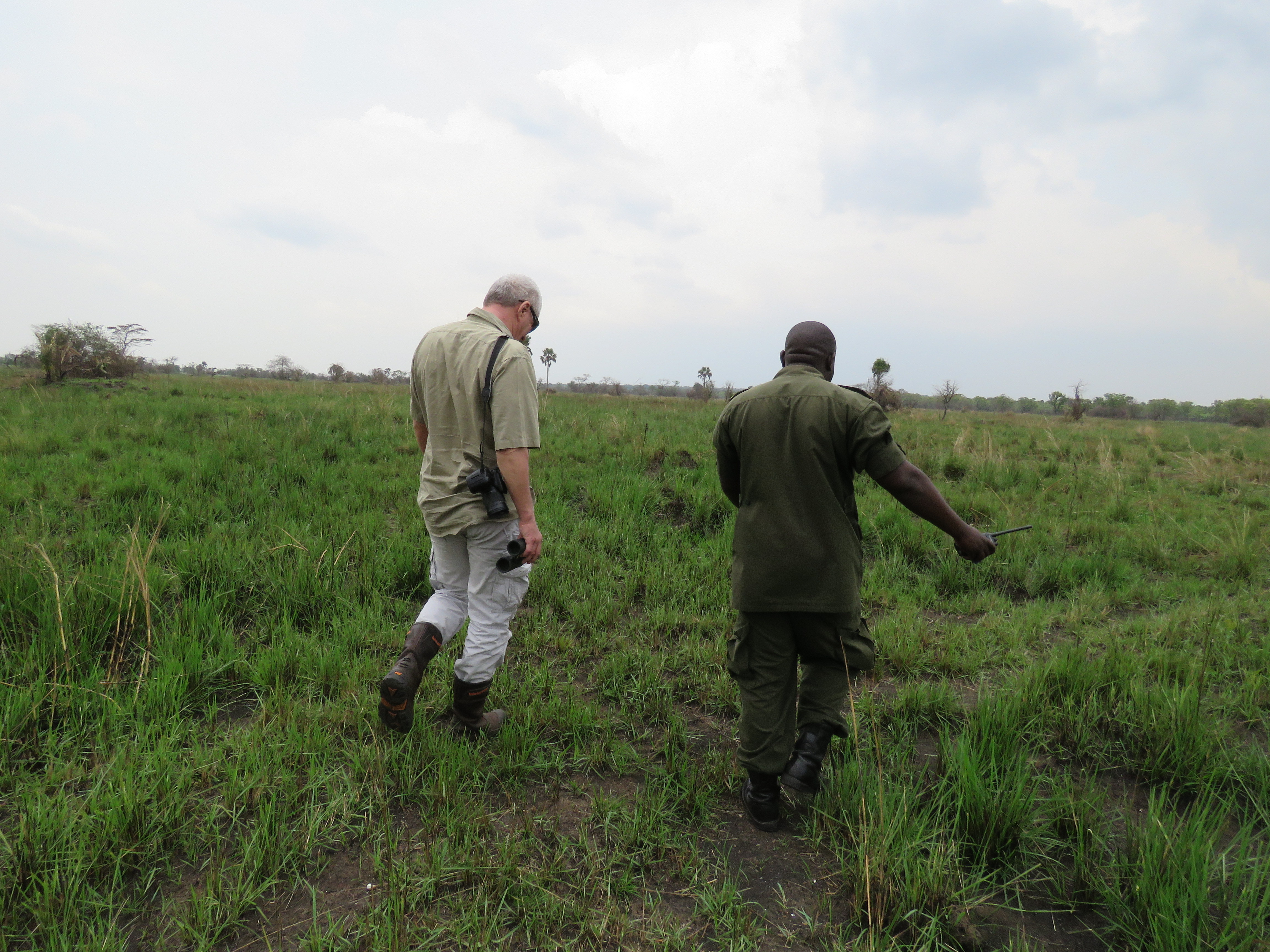 Walking safaris- Best things to do in Uganda