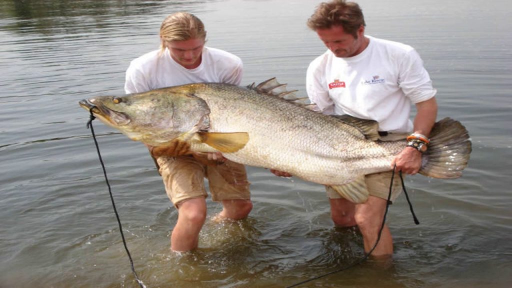 Fishing in Lake Victoria Uganda