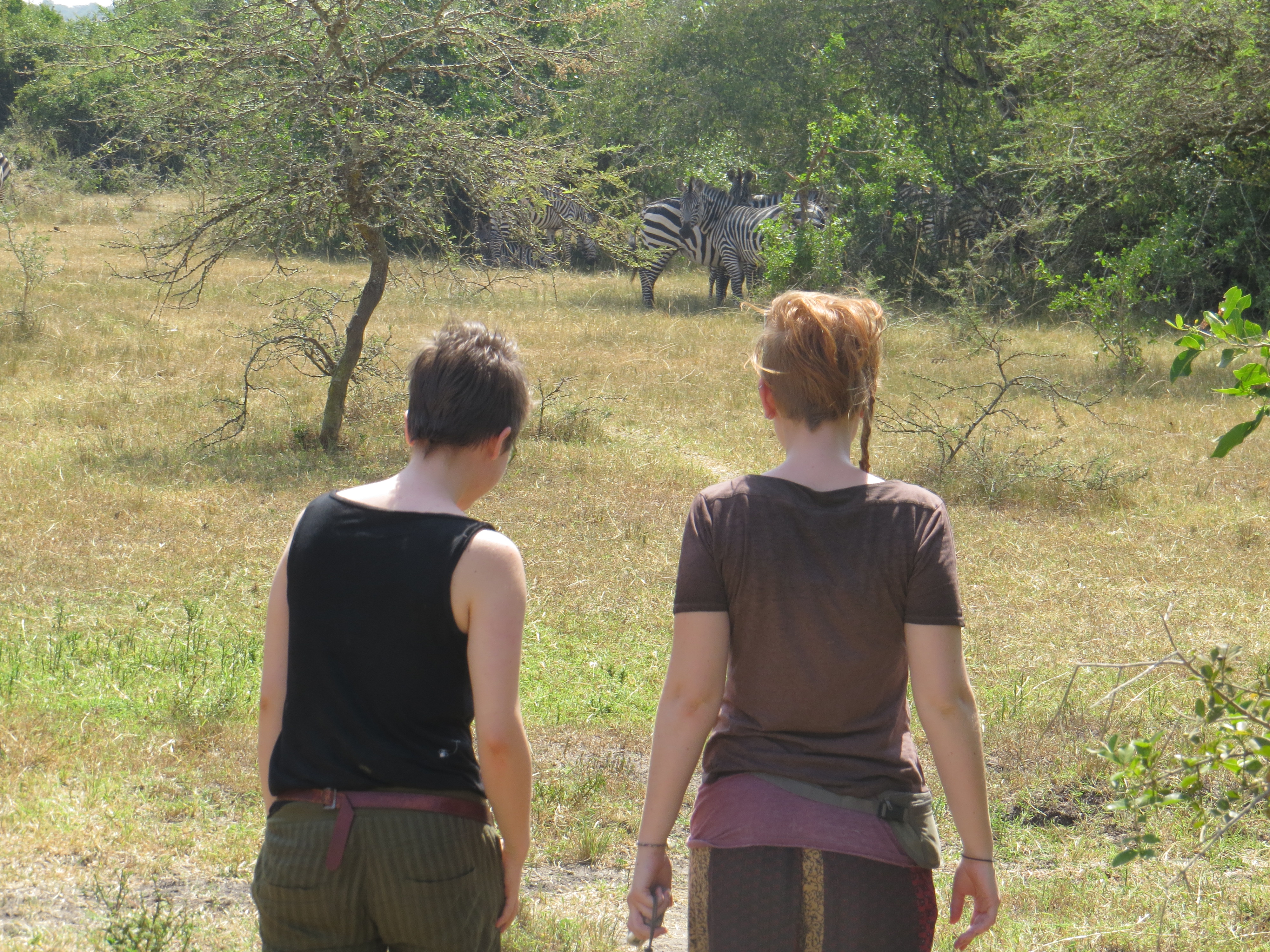 best-places-for-walking-safaris-in-uganda
