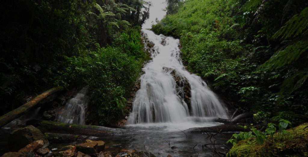 Getting to Bwindi Impenetrable National Park