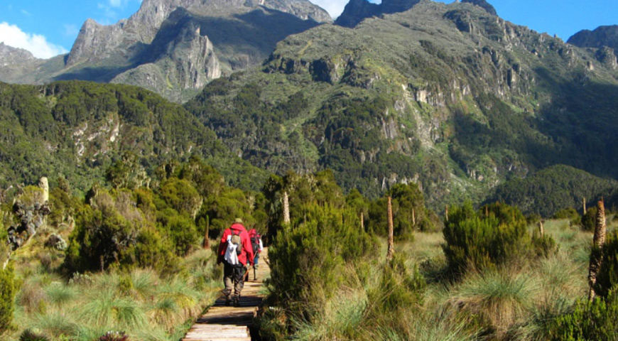 Hike Mount Elgon National Park