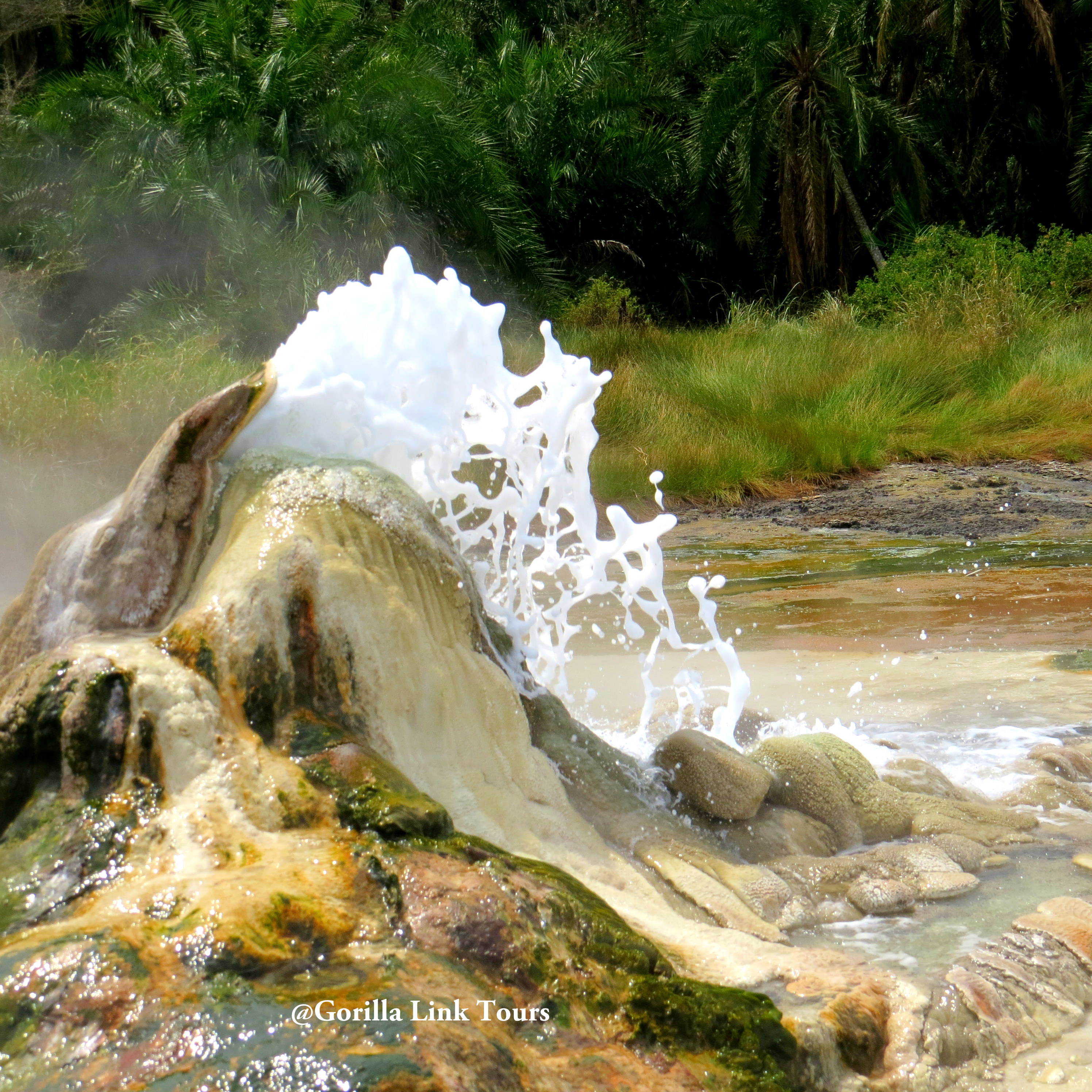 3 Days Semliki National park safari with a visit to the famous Sempaya hot springs, a night game drive and a visit to the Batwa pygmy community