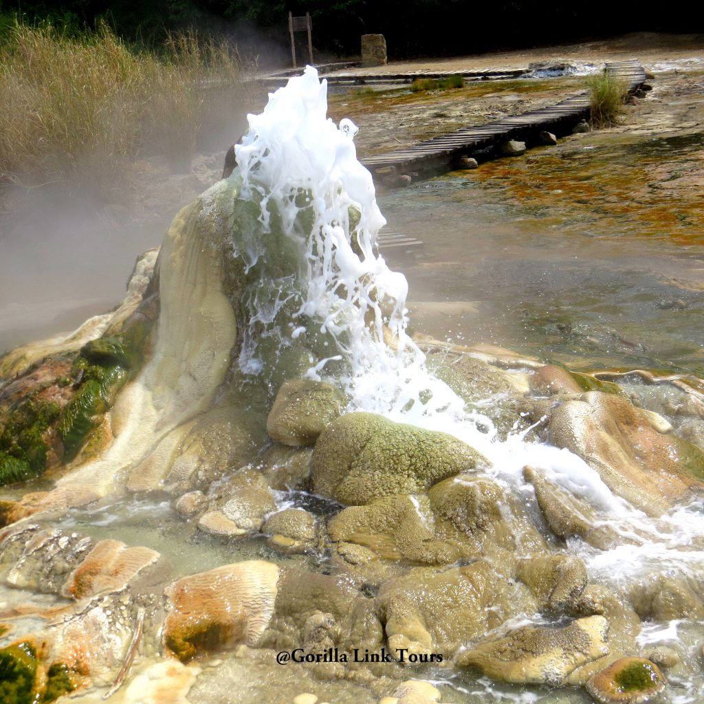 Sempaya-Hot-Springs- 2020 Uganda Wildlife safaris