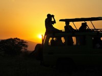 Kidepo Game drives- Top Activities to do in Kidepo National park