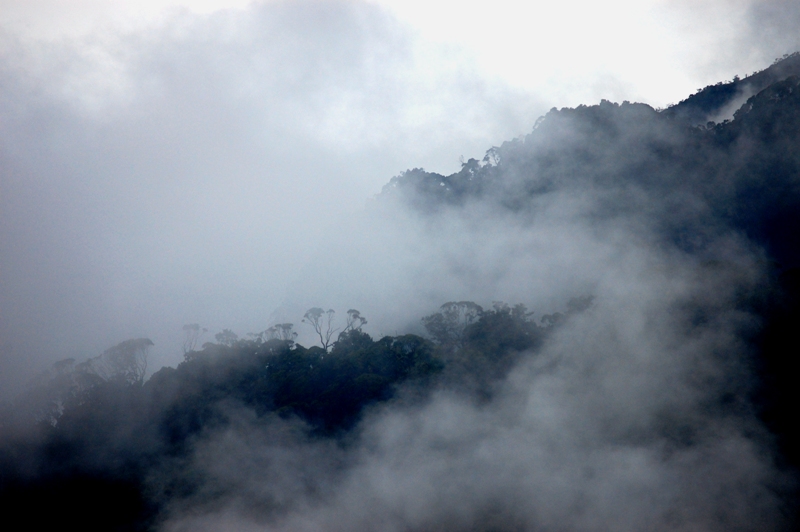 Rwenzori Mountains- 2020 Uganda Wildlife Safaris