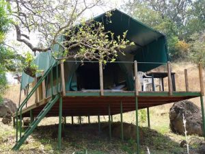 Tent-at-Pian-Upe-Wildlife-Reserve-Accommodation