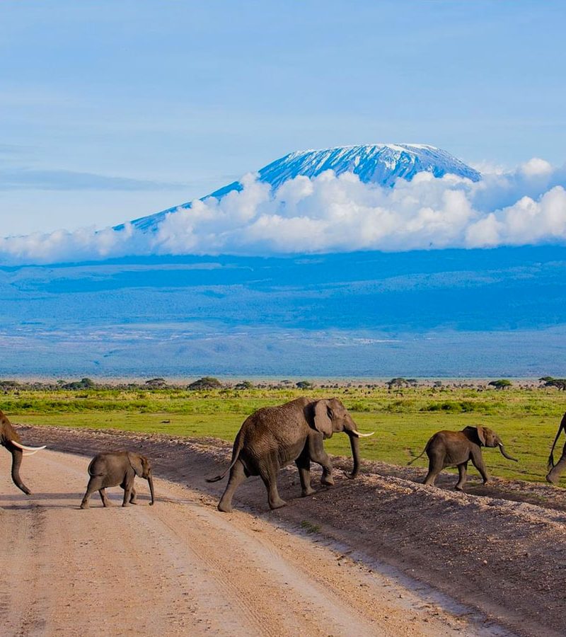 12-days-best-of-kenya-and-tanzania-safari