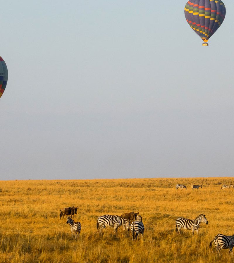 4-days-fly-in-safari-masai-mara-and-hot-air-balloon