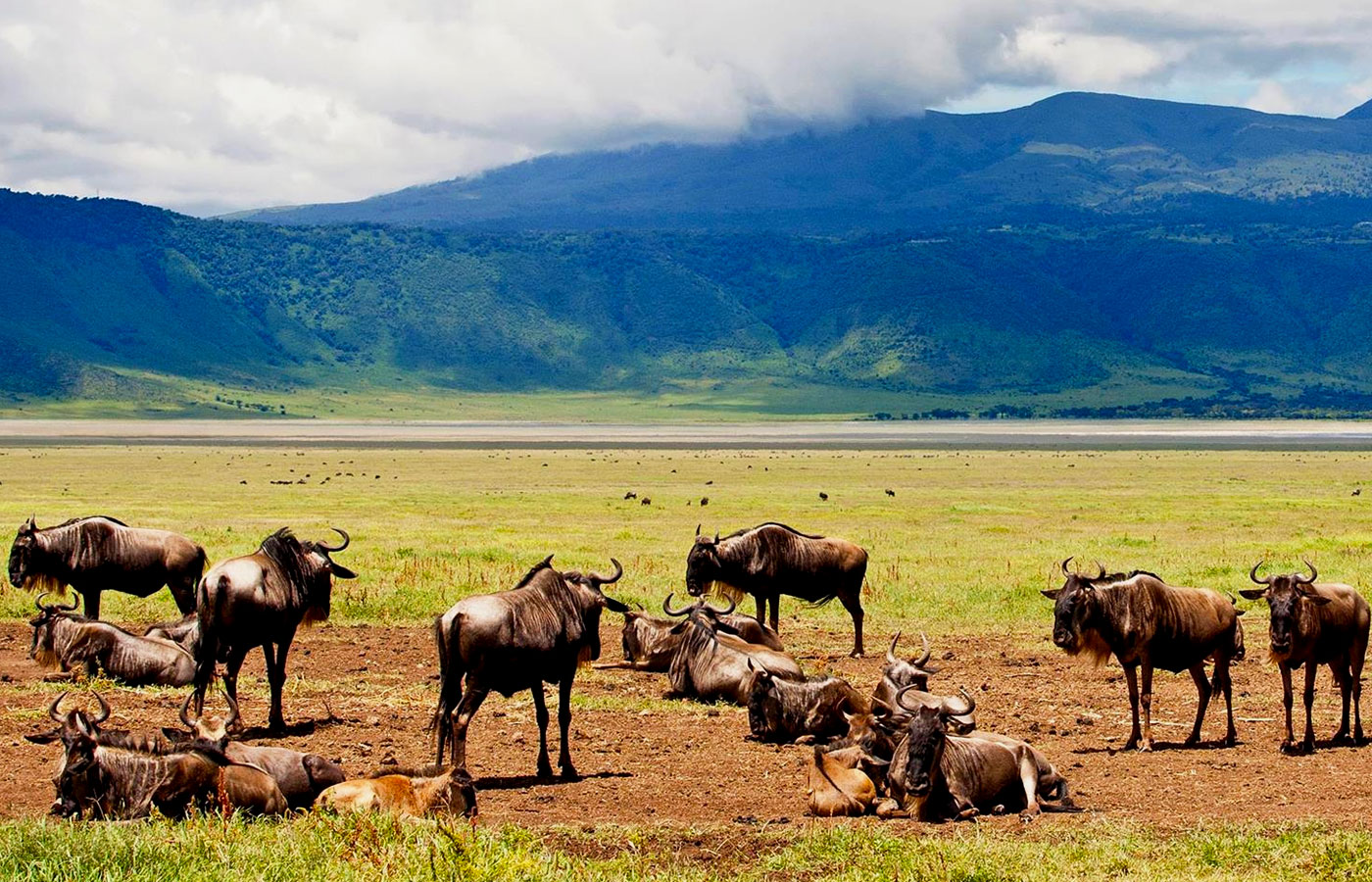 4-days-serengeti-and-ngorongoro-crater-safari