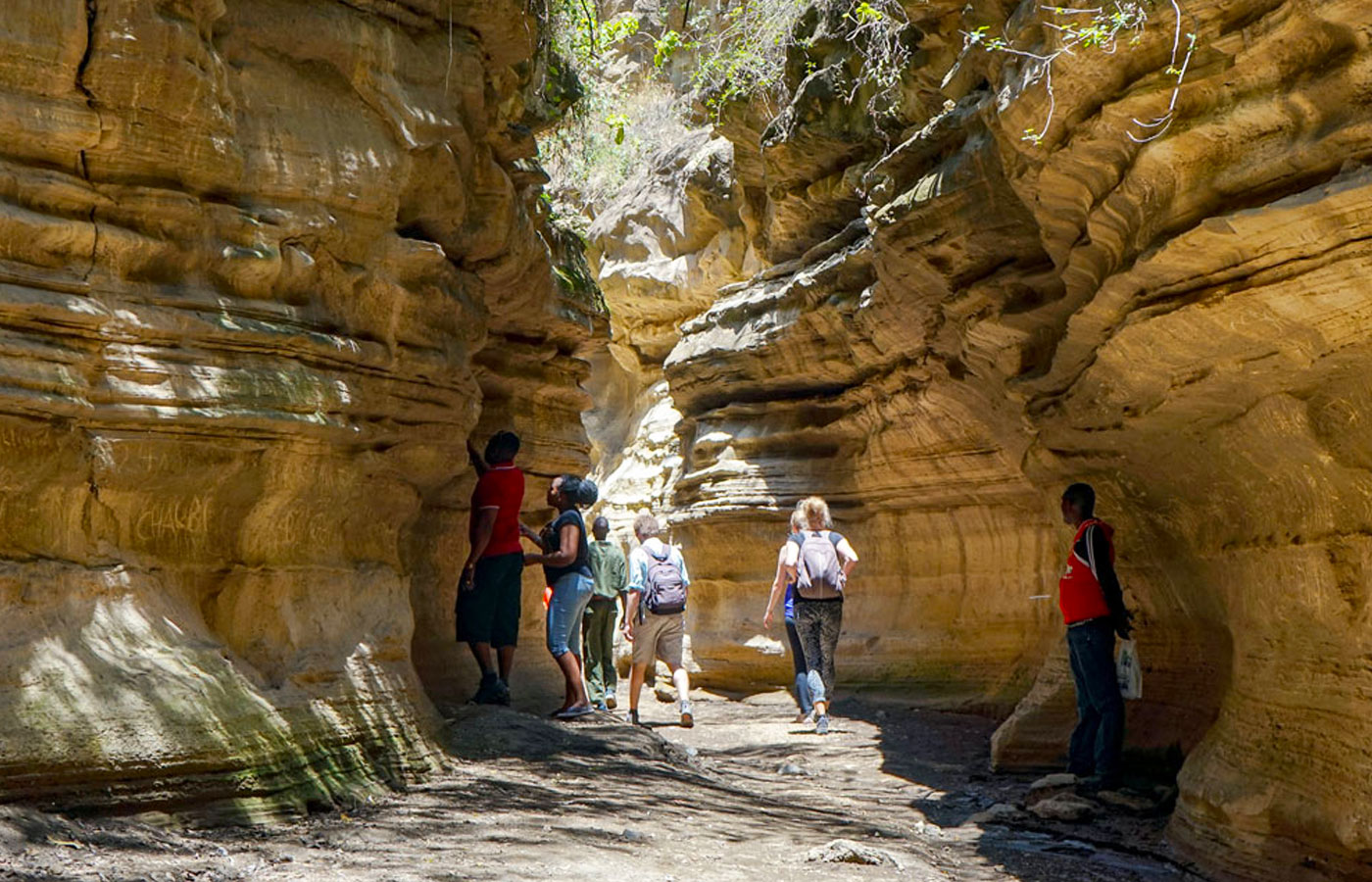 6-days-migration-and-lake-naivasha-adventure-safari