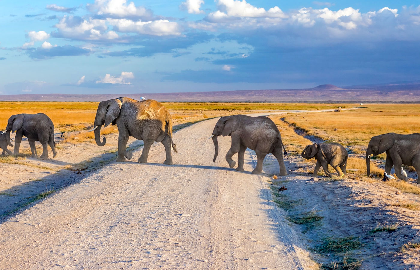 8-days-kenya-and-tanzania-safari-tour