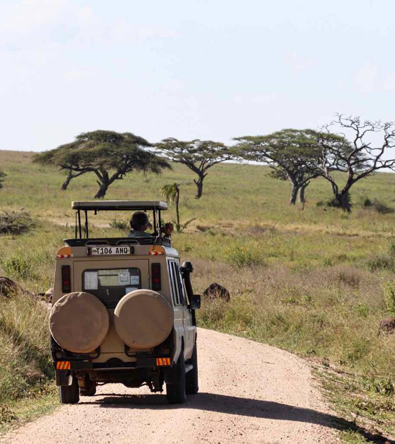 13-days-tanzania-safari-zanzibar-holiday