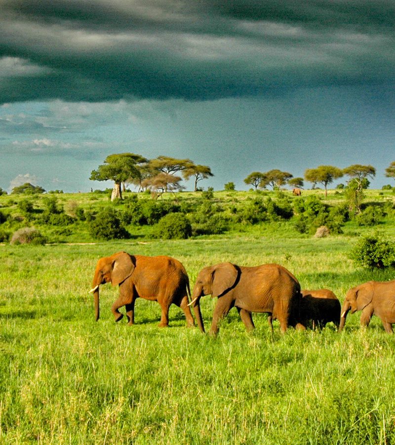 8-days-tanzania-holiday